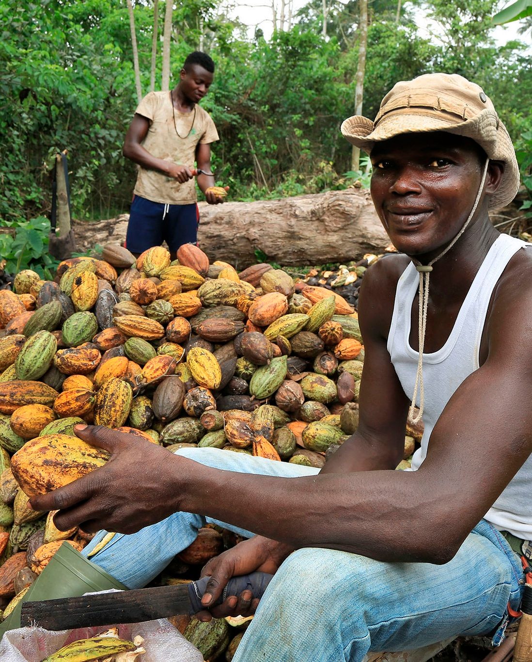 Cameroun - Expertise cacao de renommée
