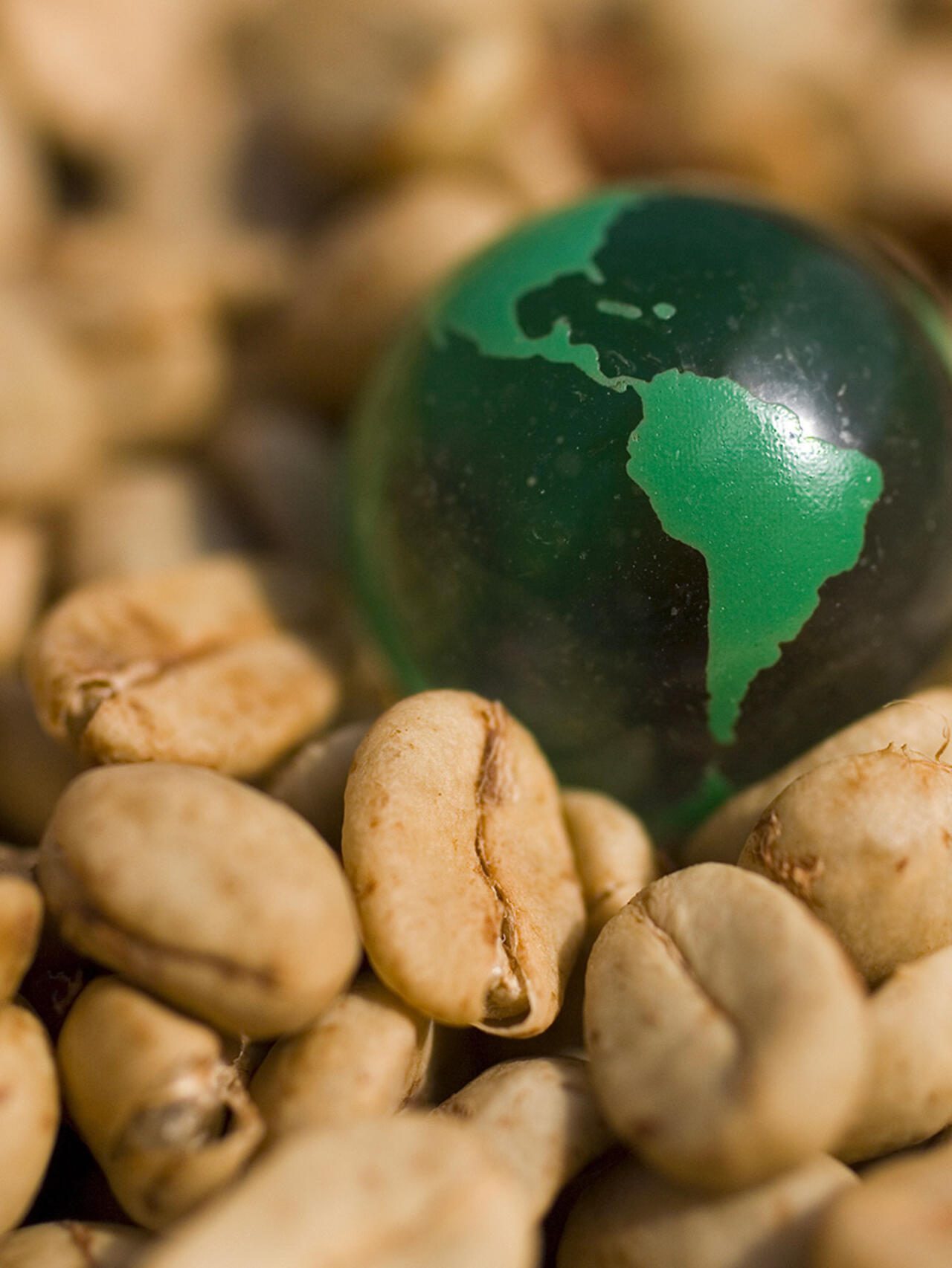 Notre mission : connecter les origines aux marchés mondiaux