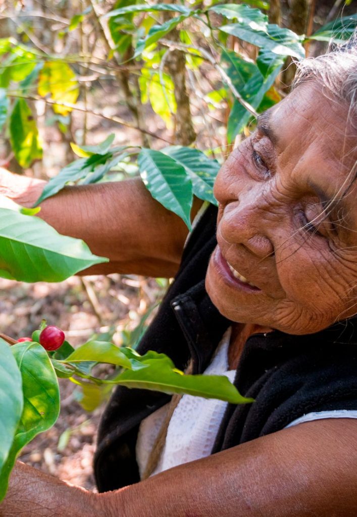 Nous étudions actuellement des opportunités en Côte d'Ivoire, au Guatemala et en Équateur